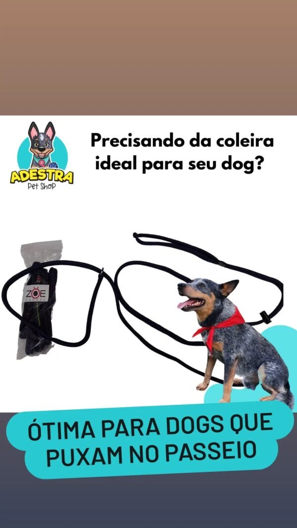 GUIA DE ADESTRAMENTO ZOE HANDEE VÁRIAS CORES - Imagem 2