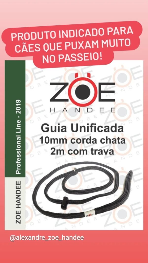 GUIA DE ADESTRAMENTO ZOE HANDEE VÁRIAS CORES - Imagem 4